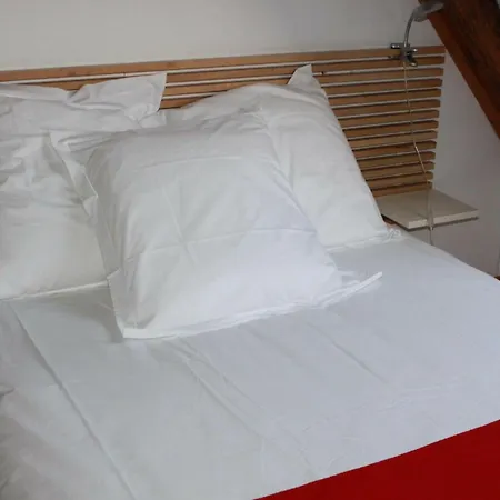 Petite Venise Apartment Colmar
